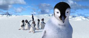 Waddle I do...