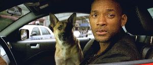 What would equally capture the attention of Will Smith and his dog?  A hot mail woman.